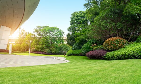 Cost of Commercial Lawn Mowing in Newark