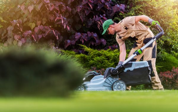 Cost of Lawn Care And Maintenance in Newark