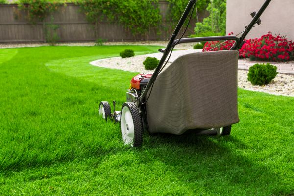 Cost of Lawn Mowing in Newark