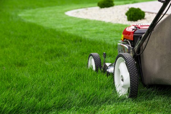 Cost of Mowing Service in Newark