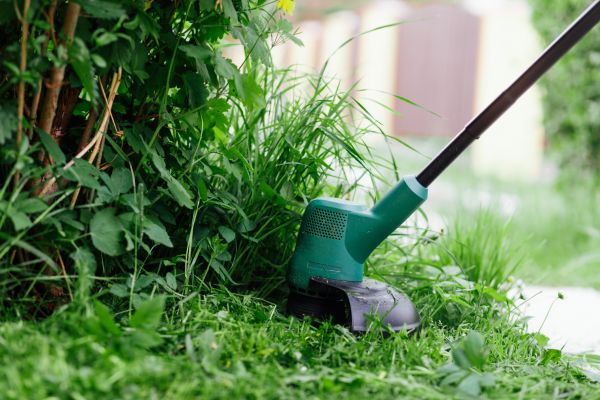 Cost of Weed Whacking in Newark