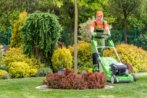 Cost of Yard Service in Newark