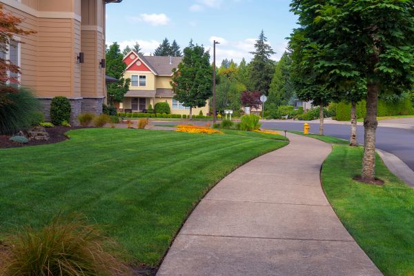 Cost of Home Lawn Maintenance in Newark