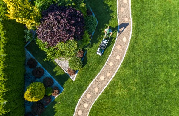 Cost of Mowing And Landscaping in Newark