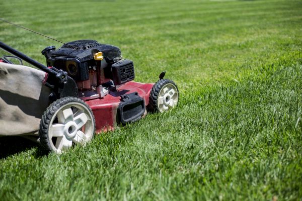 Cost of Routine Lawn Care in Newark