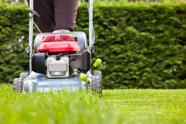 Cost of Grass Trimming Service in Newark