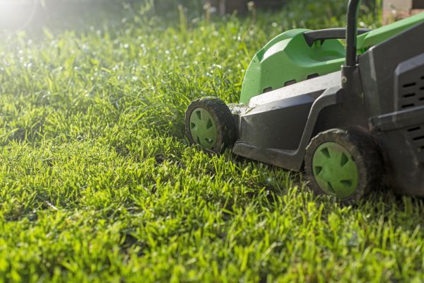Cost of Residential Lawn Maintenance in Newark