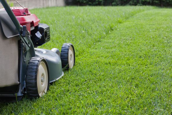 Cost of Spring Lawn Maintenance in Newark