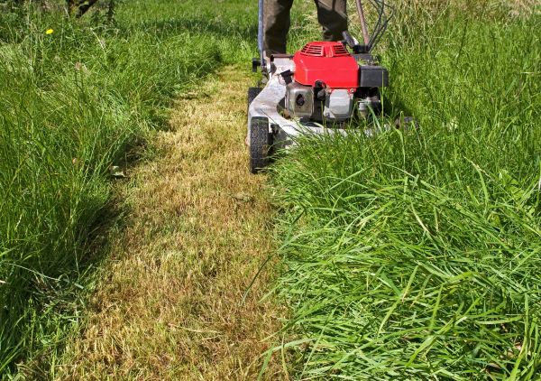 Cost of Leaf Mowing in Newark