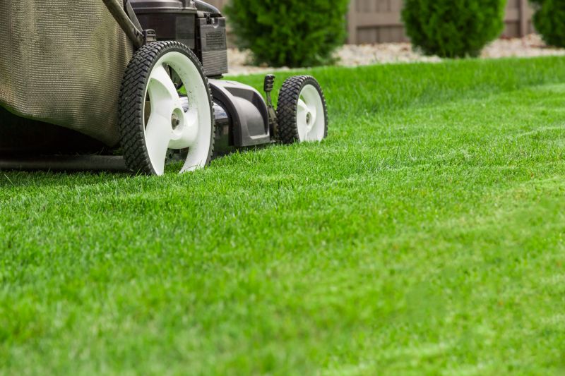 Commercial Lawn Mowing detail