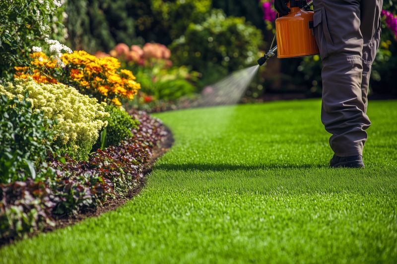 Routine Lawn Maintenance