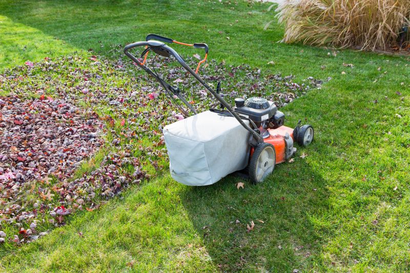 Off-Season for Lawn Care
